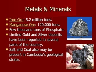 Metals & Minerals Iron Ore : 5.2 million tons. Manganese Ore : 120,000 tons. Few thousand tons of Phosphate. Limited Gold and Silver deposits  have been reported in several parts of the country.  Salt and Coal also may be  present in Cambodia's geological strata.  