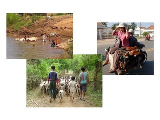Prevention and control of zoonotic causes of acute bloody diarrhoea in rural Cambodia through an EcoHealth approach