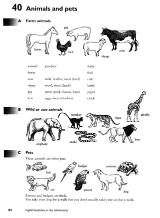 Cambridge   english vocabulary in use - elementary
