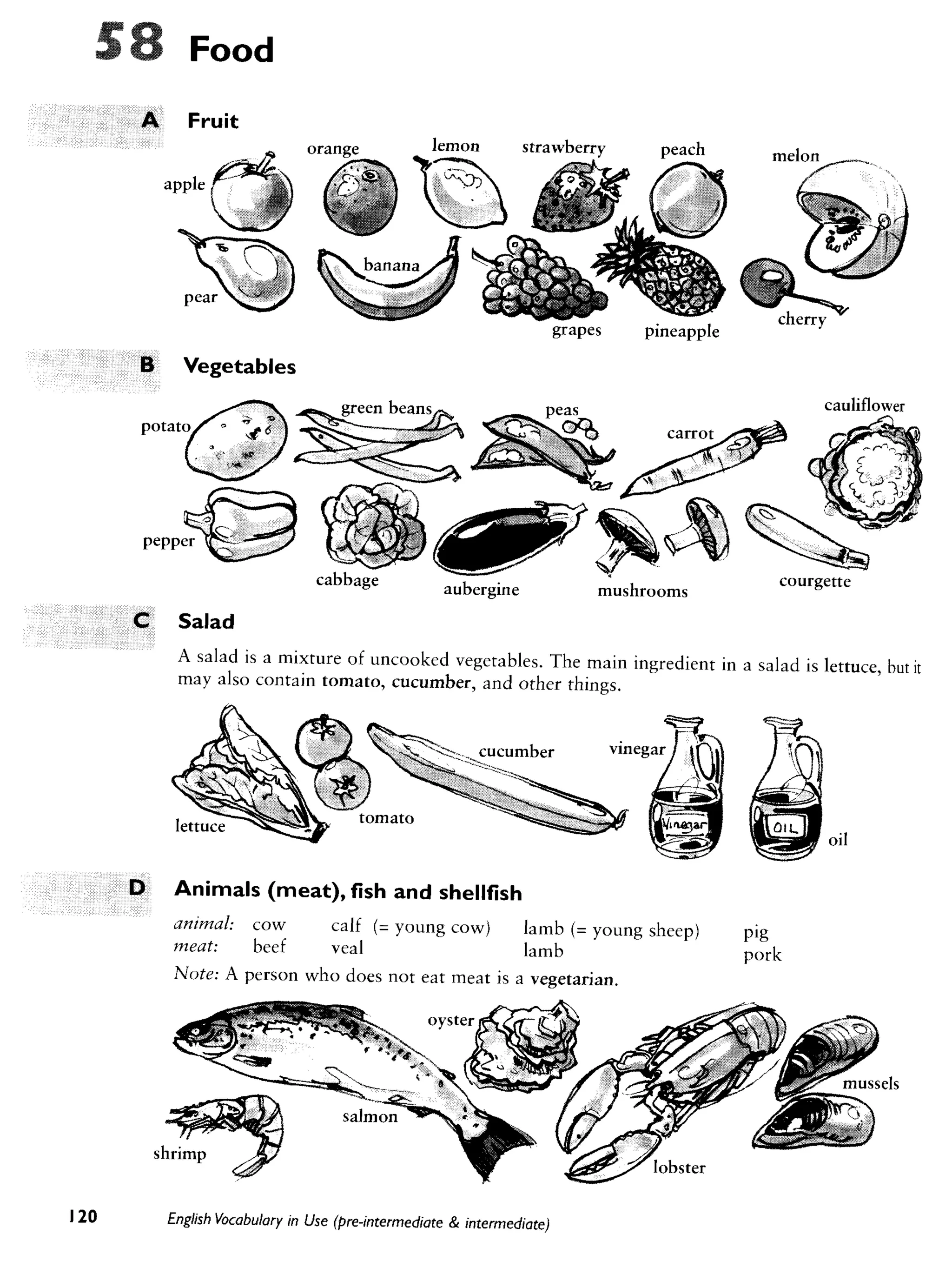 Cambridge   english vocabulary in use - pre-int int