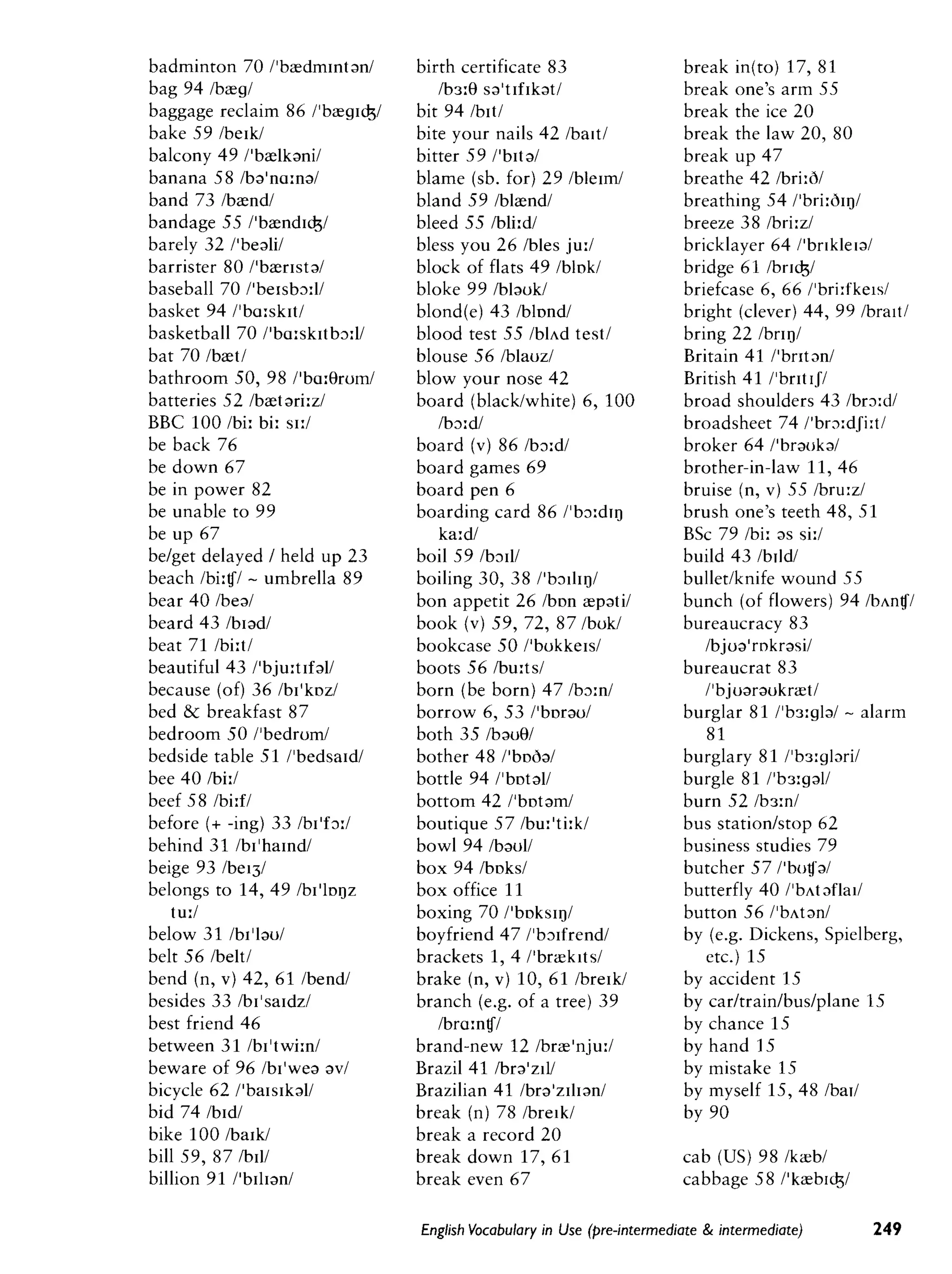 Cambridge   english vocabulary in use - pre-int int