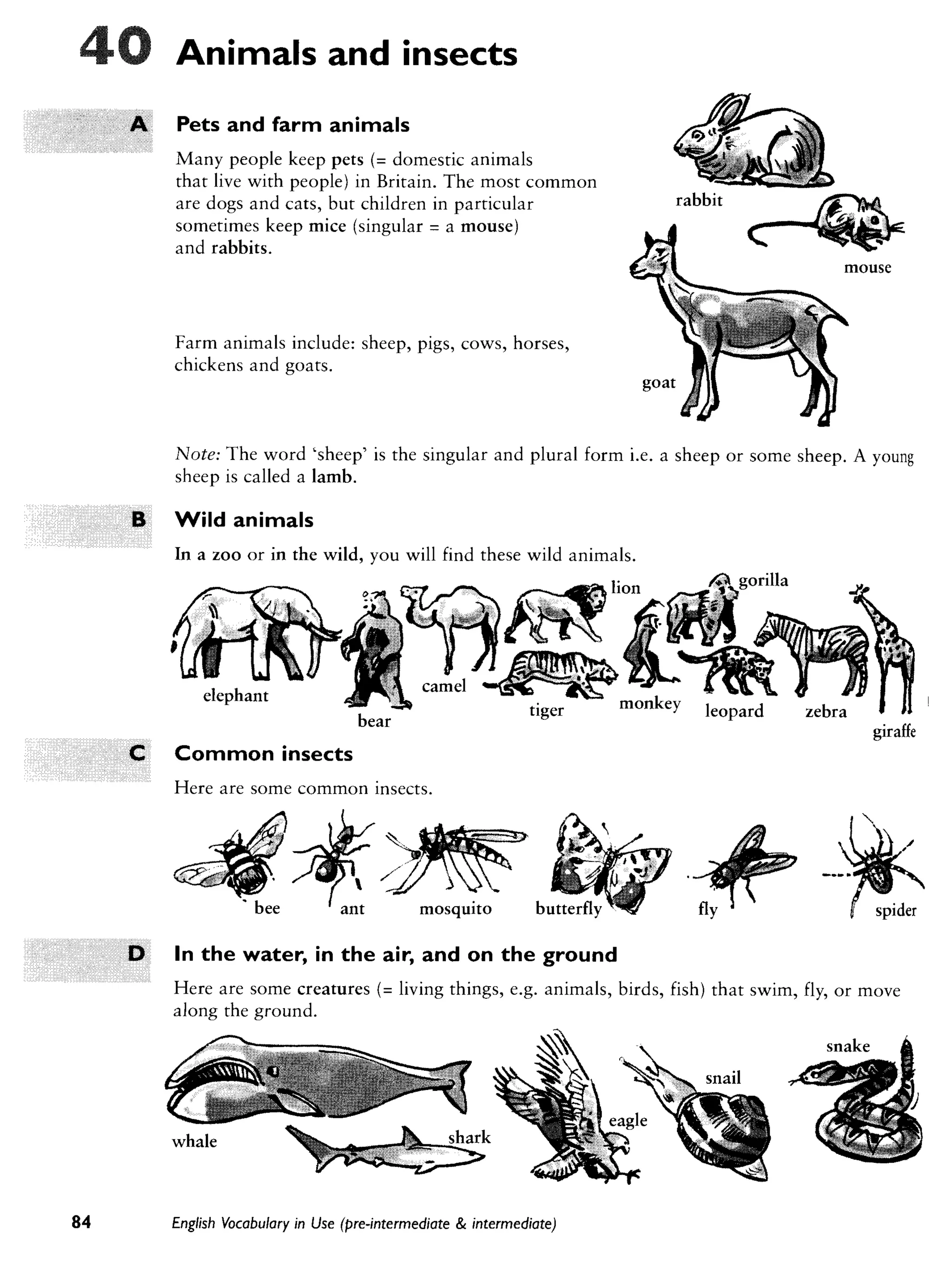 Cambridge   english vocabulary in use - pre-int int