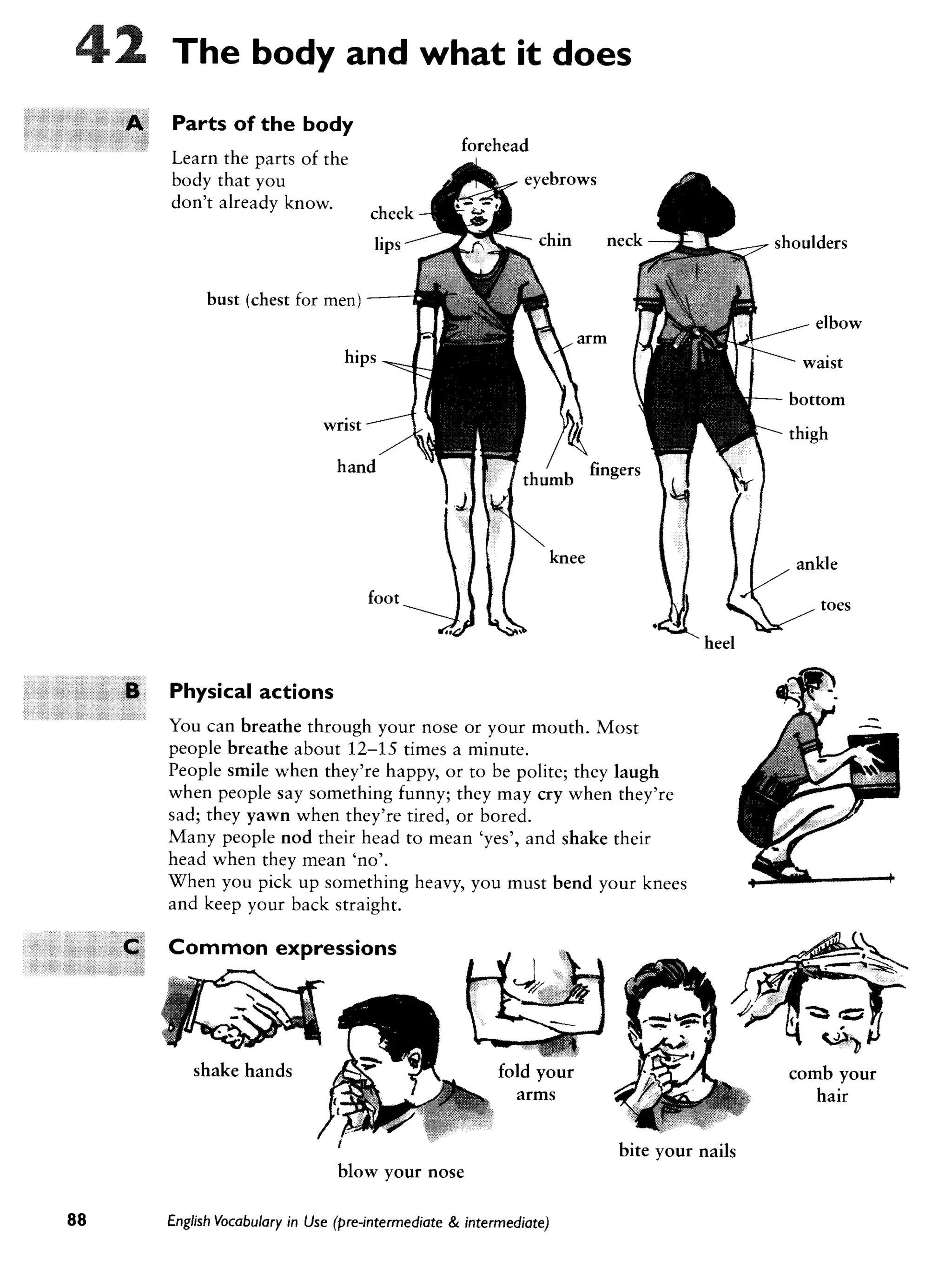 Cambridge   english vocabulary in use - pre-int int