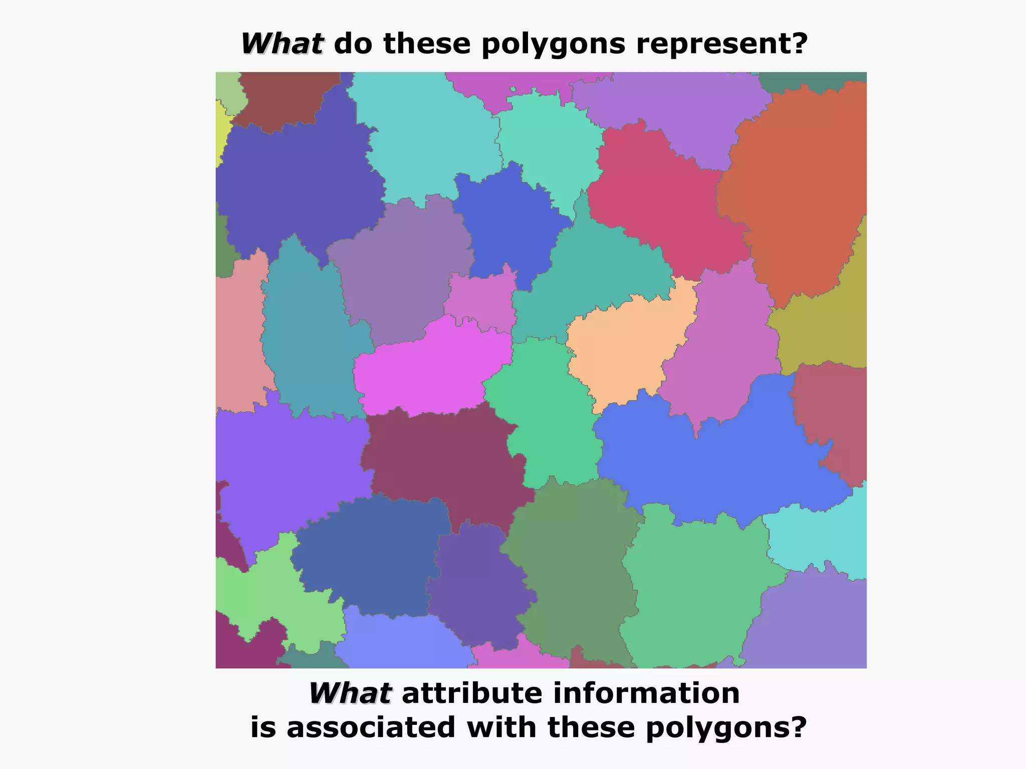 What  do these polygons represent?  What  attribute information  is associated with these polygons? 