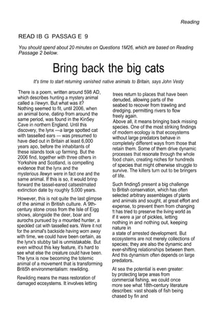 Reading
READ IB G PASSAG E 9
You should spend about 20 minutes on Questions 1M26, which are based on Reading
Passage 2 below.
Bring back the big cats
It's time to start returning vanished native animals to Britain, says John Vesty
There is a poem, written around 598 AD,
which describes hunting a mystery animal
called a //ewyn. But what was it?
Nothing seemed to fit, until 2006, when
an animal bone, datinp from around the
same period, was found in the Kin5ey
Cave in northern England. Until this
discovery, the lynx —a large spotted cat
with tasselled ears — was presumed to
have died out in Britain at least 6,000
years apo, before the inhabitants of
these islands took up farming. But the
2006 find, together with three others in
Yorkshire and Scotland, is compelling
evidence that the lynx and the
mysterious Ilewyn were in fact one and the
same animal. If this is so, it would brinp
forward the tassel-eared catsestrnated
extinction date by roughly 5,000 years.
However, this is not quite the last glimpse
of the animal in British culture. A 9th-
century stone cross from the Isle of Eigg
shows, alongside the deer, boar and
aurochs pursued by a mounted hunter, a
speckled cat with tasselled ears. Were it not
for the animal's backside having worn away
with time, we could have been certain, as
the lynx's stubby tail is unmistakable. But
even without this key feature, it's hard to
see what else the creature could have been.
The lynx is now becoming the totemic
animal of a movement that is transforming
Briti5h environmentalism: rewilding.
Rewilding means the mass restoration of
damaged ecosystems. It involves letting
trees return to places that have been
denuded, allowing parts of the
seabed to recover from trawling and
dredging, permitting rivers to flow
freely again.
Above all, it means bringing back missing
species. One of the most striking findings
of modern ecology is that ecosystems
without large predators behave in
completely different ways from those that
retain them. Some of them drive dynamic
processes that resonate through the whole
food chain, creating niches for hundreds
of species that might otherwise struggle to
survive. The killers turn out to be bringers
of life.
Such finding5 present a big challenge
to British conservation, which has often
selected arbitrary assemblages of plants
and animals and sought, at great effort and
expense, to prevent them from changing
!t has tried to preserve the living world as
if it were a jar of pickles, letting
nothing in and nothing out, keeping
nature in
a state of arrested development. But
ecosystems are not merely collections of
species; they are also the dynamic and
ever-shifting relationships between them.
And this dynamism often depends on large
predators.
At sea the potential is even greater:
by protecting larpe areas from
commercial fishing, we could once
more see what 18th-century literature
describes: vast shoals of fish being
chased by fin and
 