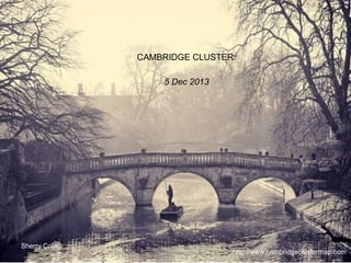Sherry Coutu 
CAMBRIDGE CLUSTER: 
http://www.cambridgeclustermap.com 
5 Dec 2013 
 