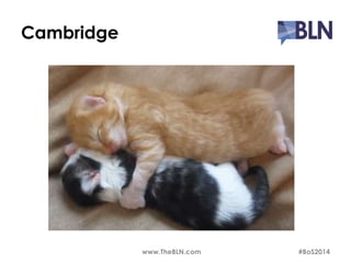 Cambridge 
www.TheBLN.com #BoS2014 
 