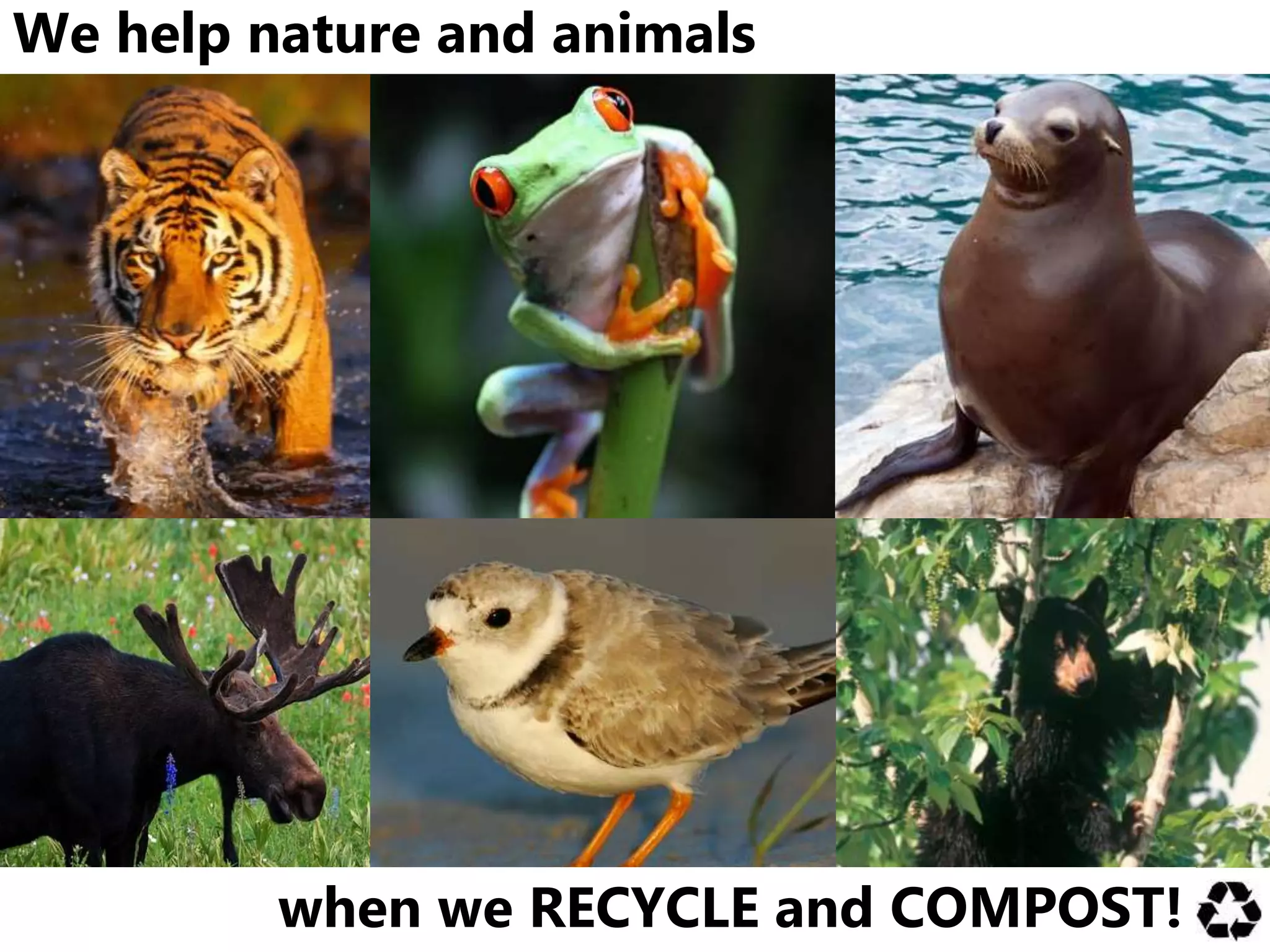 We help nature and animals
when we RECYCLE and COMPOST!
 