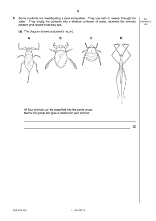 8

5   Some students are investigating a river ecosystem. They use nets to sweep through the      For
    water. They empty the contents into a shallow container of water, examine the animals   Examiner's
                                                                                               Use
    present and record what they see.

    (a) The diagram shows a student’s record.

               A                     B                        C              D




         All four animals can be classified into the same group.
         Name the group and give a reason for your answer.



                                                                                      [2]




© UCLES 2011                                  1113/01/SP/12
 