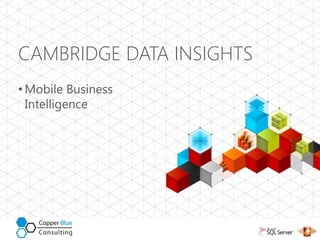CAMBRIDGE DATA INSIGHTS
• Mobile Business
  Intelligence
 