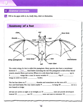 Cambridge grammar for ielts
