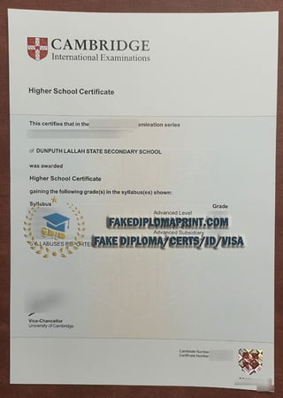 Cambridge Higher School certificate.pdf