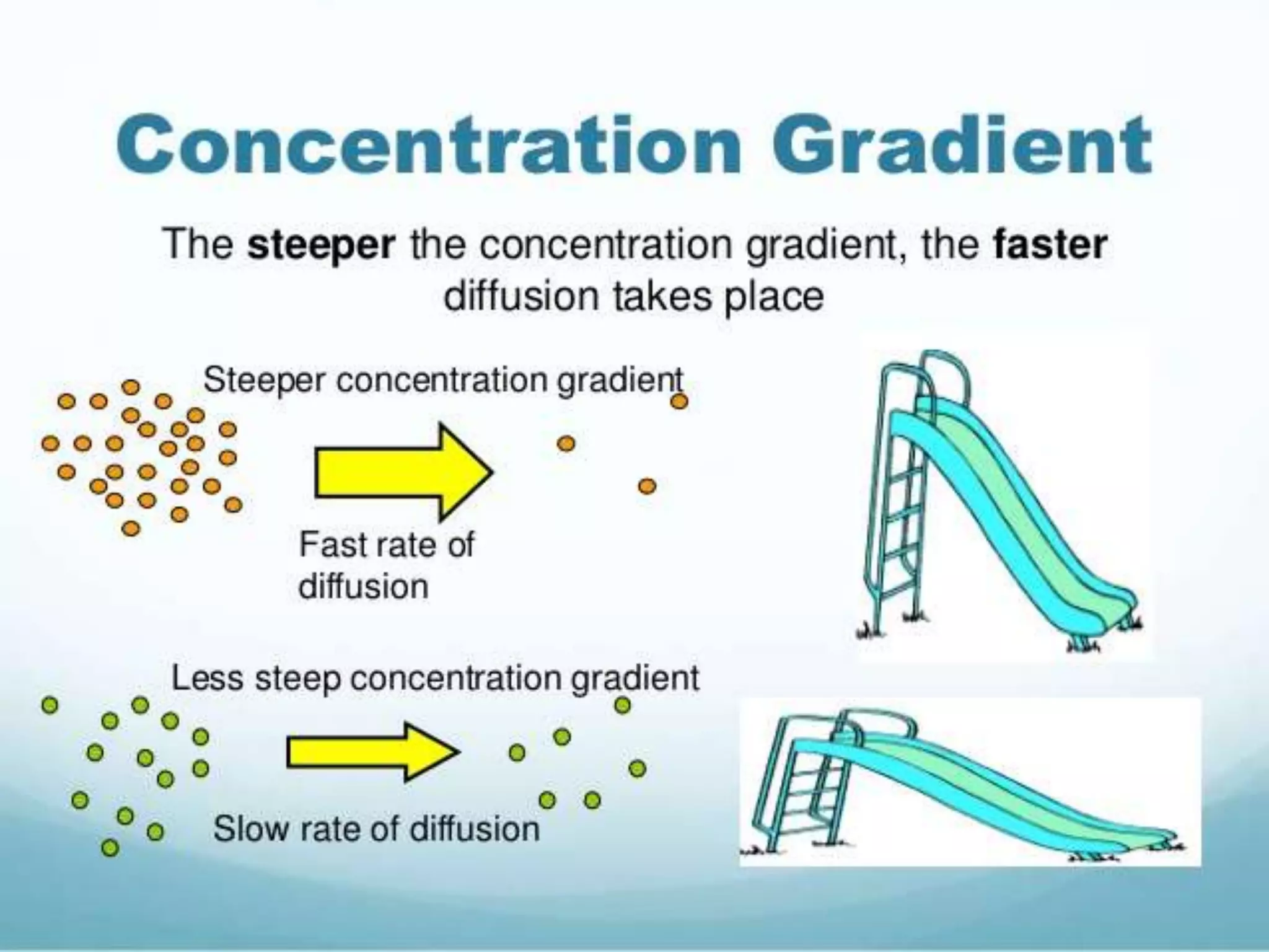 3.1 diffusion
Extended
Investigate the factors that influence diffusion,
limited to
1-surface area,
2-temperature,
3-concentration gradients
4-distance
 