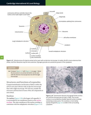 Cambridge International AS and A Level Biology by Mary Jones 4th Ed-10.pdf