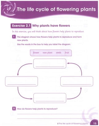 Cambridge Primary Science 5 Activity Book Free.pdf