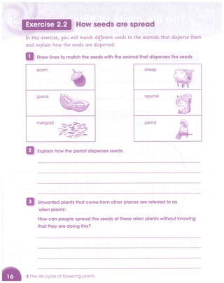 Cambridge Primary Science 5 Activity Book Free.pdf
