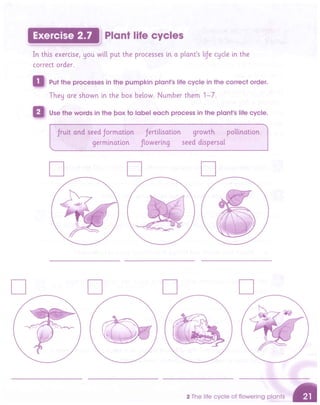 Cambridge Primary Science 5 Activity Book Free.pdf