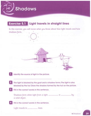 Cambridge Primary Science 5 Activity Book Free.pdf