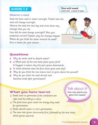 Observe s seed
Sook the beon seed [n woter overnlght. Predict how
seed wi[[ chonge overnight.
Observe the seed the next doy and wrlte down ong
changes thot gou see.
How did the seed chonge overnight? Was Uour
predlction correct? Exploin why the chonges hoppen.
Where do gou thinh the water entered the seed?
Gtve a reoson Jor gour onswer.
7"
2
3
IL
5
(:!'
the new shoot
Qttesf,;io*ts
Why do seeds need to obsorb woter?
c Which port oJ the new beon p[ant grows flrst?
b Suggest o reoson why this port grows downwords.
In which dlrectlon does the ftrst shoot grow ond why?
Why do you think the new leoves stort to grow obove the ground?
Whg do you think the seed shrivels ond
becomes smo[[ oJter germlnotlon?
Whqt yowhqnre lec..rn*
Seeds stort to germinote f the condttlons ore
right and the embryo i.s olive.
The Jood store gives seeds the energg theg need
Jor germlnotion.
Seeds obsorb woter to stort germlnotlon.
The new root grows downwords frrst, Jollowed bg
whi.ch grows upwords.
I lnvestigoting plont growth
 