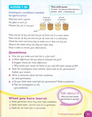 I nvestigote conditions
for germinotion
Ploce fve seeds ogoinst
the gloss in eoch jor.
Motsten the soil i.n two jors.
needed
moist soil
or sawdust
Quest;iotls
t
2
3
4
@MWM
Ptace one jor oJ dry so[[ and one jar oJ molst soll in o worm ploce.
Place one jor oJ dry soil ond one jor oJ moist so[[ i,n o cotd place.
Check the moist soil every doy to mahe sure it does not dry out.
Observe the seeds everg two doys Jor eight dogs.
Drow o toble to record gour observotlons.
How con gou mohe sure thot thi.s is o Jolr test?
a Whot dtJJerences did you observe between the jors?
b Suggest reason Jor these dfJerences.
c Why woutd Uour results be better ,J Uou used 40 seeds insteod oJ 20?
Does the investlgation show whether seeds need oir Jor germlnotion?
Exp[o[n Uour onswer.
Wri.te a concluslon about the best condi.tlons
Jor seed germlnotlon.
S a Do Uou thinh seeds need tight Jor
b P[an on lnvestlgation to test
Uour predlction.
germlnoti.on? Moke o predlction.
Whq* Aauhqnre leqrnt
gg Seeds germlnote when theg hove rlght condltions.
$. Seeds need water, warmth ond olr to germlnote.
g$ Seeds do not need light to germinote.
I lnvestigoting plont growth
 