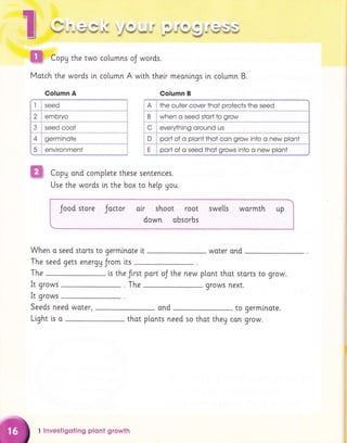 opu the two
Motch the words i,n
columns oJ words.
co[umn A wlth their meani.ngs in column B.
Column A
I seed
2 embryo
3 seed coot
4 germinote
5 environment
Whe
The
The
Seeds need woter,
Li.ght [s o
The grows next.
and to germlnote.
that plonts need so thot they con grow.
Column B
A the outer cover thot protects the seed
B when o seed stori to grow
C everything oround us
D port of o plont thot con grow into o new plont
E port of o seed thoi grows into o new plont
m CopU ond complete these sentences.
Use the words in the box to he[p gou.
Jood store Joctor oir shoot root swells wormth up
down absorbs
n o seed storts to germinate lt woter ond
seed gets energy Jrom its
is the ftrst port oJ the new plant thot starts to grow.
It grows
It grows
t lnvestigoiing plqnt growih
 