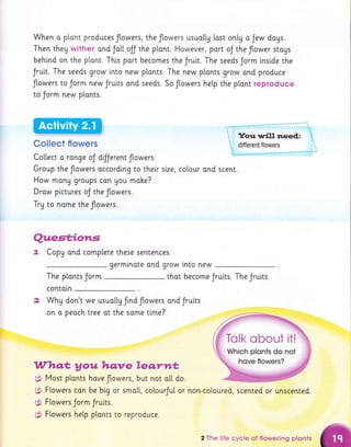 When o plont produces flowers, the flowers usuatty last ontg o Jew dogs.
Then they wither ond Jott olJ the plont. However, port oJ the flower stous
behlnd on the p[ont. Thls part becomes the Jrult. The seeds Jorm inside the
Jruit. The seeds grow lnto new ptants. The new plants grow ond produce
flowers to Jorm new Jruits and seeds. So flowers hetp the plont reproduce
to Jorm new plonts.
Collect flowers
Collect o ronge oJ dfJerent flowers.
Group the flowers occordLng to thelr size,
How monu groups con Uou mohe?
Drow pictures oJ the flowers.
Try to nome the flowers.
colour ond scent.
thot become Jruits. The Jruits
non-cotoured, scented or unscented.
Qu.estiotls
7. CopU ond complete these sentences.
germlnote ond grow lnto new
The plonts Jorm
contoln
WhU don't we usuolty frnd flowers ond Jruits
on o peach tree ot the some ttme?
Whq,t youhqnre leqrnt
$ Most plonts have flowers, but not a[[ do.
g: Ftowers con be big or smo[[, colourJul or
g$ Flowers Jorm Jruits.
;g: Flowers hetp plonts to reproduce.
2 The life cycle of flowering plonts
 