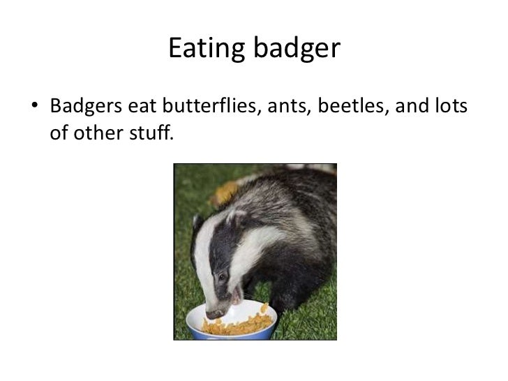 badger a witness synonym badger a witness synonym
