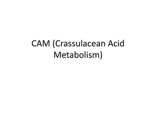 CAM (Crassulacean Acid
Metabolism)
 