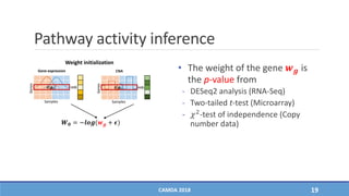 Pathway activity inference
• The weight of the gene 𝒘 𝒈 is
the p-value from
- DESeq2 analysis (RNA-Seq)
- Two-tailed t-test (Microarray)
- 𝜒2-test of independence (Copy
number data)
CAMDA 2018 19
Genes
Samples
Gene expression
𝒛 𝒈𝒊
Genes
Samples
CNA
𝒛 𝒈𝒊
Weight initialization
𝑾 𝟎 = −𝒍𝒐𝒈(𝒘 𝒈 + 𝝐)
 