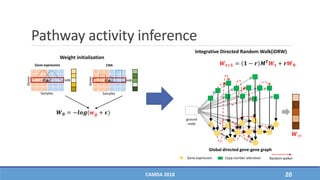 Pathway activity inference
CAMDA 2018 20
ground
node
Global directed gene-gene graph
Gene expression Copy number alteration Random walker
Integrative Directed Random Walk(iDRW)
𝑾∞
Genes
Samples
Gene expression
𝒛 𝒈𝒊
Genes
Samples
CNA
𝒛 𝒈𝒊
Weight initialization
𝑾 𝟎 = −𝒍𝒐𝒈(𝒘 𝒈 + 𝝐)
𝑾 𝒕+𝟏 = 𝟏 − 𝒓 𝑴 𝑻 𝑾 𝒕 + 𝒓𝑾 𝟎
 