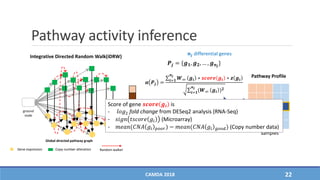 Pathway activity inference
CAMDA 2018 22
Pathway Profile
Pathway
Samples
𝒂 𝑷𝒋
𝒂 𝑷𝒋 = 𝒊=𝟏
𝒏 𝒋
𝑾∞ 𝒈𝒊 ∗ 𝒔𝒄𝒐𝒓𝒆 𝒈𝒊 ∗ 𝒛 𝒈𝒊
𝒊=𝟏
𝒏 𝒋
(𝑾∞ 𝒈𝒊 ) 𝟐
ground
node
Global directed pathway graph
Gene expression Copy number alteration Random walker
Integrative Directed Random Walk(iDRW)
𝑾∞
𝑷𝒋 = {𝒈 𝟏, 𝒈 𝟐, … , 𝒈 𝒏𝒋
}
𝒏𝒋 differential genes
Score of gene 𝒔𝒄𝒐𝒓𝒆 𝒈𝒊 is
- 𝑙𝑜𝑔2 fold change from DESeq2 analysis (RNA-Seq)
- 𝑠𝑖𝑔𝑛 𝑡𝑠𝑐𝑜𝑟𝑒 𝑔𝑖 (Microarray)
- 𝑚𝑒𝑎𝑛(𝐶𝑁𝐴 𝑔𝑖 𝑝𝑜𝑜𝑟) − 𝑚𝑒𝑎𝑛(𝐶𝑁𝐴 𝑔𝑖 𝑔𝑜𝑜𝑑) (Copy number data)
 