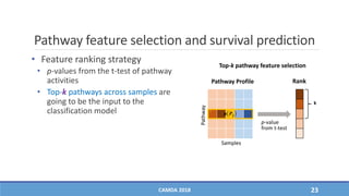 Pathway feature selection and survival prediction
• Feature ranking strategy
• p-values from the t-test of pathway
activities
• Top-k pathways across samples are
going to be the input to the
classification model
CAMDA 2018 23
Pathway Profile
Pathway
Samples
𝒂 𝑷𝒋
Rank
Top-k pathway feature selection
k
p-value
from t-test
 