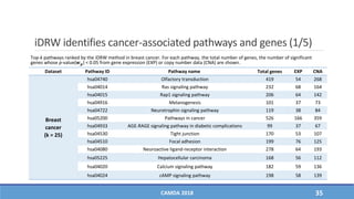 iDRW identifies cancer-associated pathways and genes (1/5)
Dataset Pathway ID Pathway name Total genes EXP CNA
Breast
cancer
(k = 25)
hsa04740 Olfactory transduction 419 54 268
hsa04014 Ras signaling pathway 232 68 164
hsa04015 Rap1 signaling pathway 206 64 142
hsa04916 Melanogenesis 101 37 73
hsa04722 Neurotrophin signaling pathway 119 38 84
hsa05200 Pathways in cancer 526 166 359
hsa04933 AGE-RAGE signaling pathway in diabetic complications 99 37 67
hsa04530 Tight junction 170 53 107
hsa04510 Focal adhesion 199 76 125
hsa04080 Neuroactive ligand-receptor interaction 278 64 193
hsa05225 Hepatocellular carcinoma 168 56 112
hsa04020 Calcium signaling pathway 182 59 136
hsa04024 cAMP signaling pathway 198 58 139
CAMDA 2018 35
Top-k pathways ranked by the iDRW method in breast cancer. For each pathway, the total number of genes, the number of significant
genes whose p-value(𝒘 𝒈) < 0.05 from gene expression (EXP) or copy number data (CNA) are shown.
 
