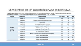 iDRW identifies cancer-associated pathways and genes (2/5)
Dataset Pathway ID Pathway name Total genes EXP CNA
Breast
cancer
(k = 25)
hsa04217 Necroptosis 164 49 97
hsa04060 Cytokine-cytokine receptor interaction 270 70 192
hsa05152 Tuberculosis 179 58 112
hsa05165 Human papillomavirus infection 319 103 210
hsa04810 Regulation of actin cytoskeleton 208 64 132
hsa04151 PI3K-Akt signaling pathway 352 119 241
hsa04022 cGMP-PKG signaling pathway 163 58 109
hsa04630 Jak-STAT signaling pathway 162 43 112
hsa05167 Kaposi's sarcoma-associated herpesvirus infection 186 61 114
hsa04010 MAPK signaling pathway 295 87 209
hsa04371 Apelin signaling pathway 137 46 99
hsa04390 Hippo signaling pathway 154 58 100
CAMDA 2018 36
Top-k pathways ranked by the iDRW method in breast cancer. For each pathway, the total number of genes, the number of significant
genes whose p-value(𝒘 𝒈) < 0.05 from gene expression (EXP) or copy number data (CNA) are shown.
 