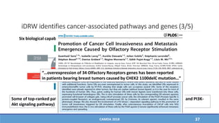iDRW identifies cancer-associated pathways and genes (3/5)
CAMDA 2018 37
Hanahan et al. Cell, 2011
Six biological capabilities which are acquired during the tumor generation
Some of top-ranked pathways (Ras signaling, Necroptosis, Regulation of actin cytoskeleton, and PI3K-
Akt signaling pathway) are related with at least one of six functions
“…overexpression of 34 Olfactory Receptors genes has been reported
in patients bearing breast tumors caused by CHEK2 1100delC mutation…”
 