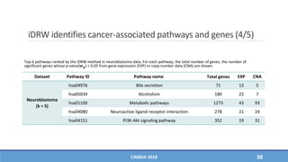 iDRW identifies cancer-associated pathways and genes (4/5)
Dataset Pathway ID Pathway name Total genes EXP CNA
Neuroblastoma
(k = 5)
hsa04976 Bile secretion 71 13 5
hsa05034 Alcoholism 180 22 7
hsa01100 Metabolic pathways 1273 43 93
hsa04080 Neuroactive ligand-receptor interaction 278 21 24
hsa04151 PI3K-Akt signaling pathway 352 19 31
CAMDA 2018 38
Top-k pathways ranked by the iDRW method in neuroblastoma data. For each pathway, the total number of genes, the number of
significant genes whose p-value(𝒘 𝒈) < 0.05 from gene expression (EXP) or copy number data (CNA) are shown.
 