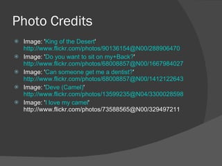 Photo Credits Image: ' King of the Desert ' http://www.flickr.com/photos/90136154@N00/288906470 Image: ' Do you want to sit on my+Back? ' http://www.flickr.com/photos/68008857@N00/1667984027 Image: ' Can someone get me a dentist? ' http://www.flickr.com/photos/68008857@N00/1412122643 Image: ' Deve (Camel) ' http://www.flickr.com/photos/13599235@N04/3300028598 Image: ' I love my camel ' http://www.flickr.com/photos/73588565@N00/329497211