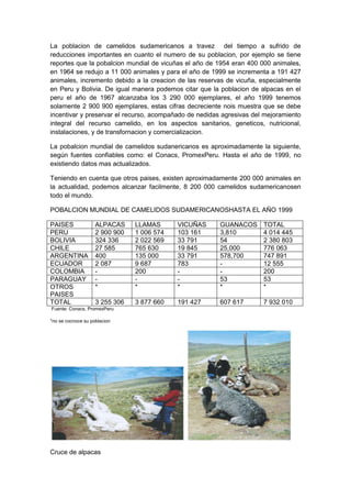 La poblacion de camelidos sudamericanos a travez del tiempo a sufrido de
reducciones importantes en cuanto el numero de su poblacion, por ejemplo se tiene
reportes que la pobalcion mundial de vicuñas el año de 1954 eran 400 000 animales,
en 1964 se redujo a 11 000 animales y para el año de 1999 se incrementa a 191 427
animales, incremento debido a la creacion de las reservas de vicuña, especialmente
en Peru y Bolivia. De igual manera podemos citar que la poblacion de alpacas en el
peru el año de 1967 alcanzaba los 3 290 000 ejemplares, el año 1999 tenemos
solamente 2 900 900 ejemplares, estas cifras decreciente nois muestra que se debe
incentivar y preservar el recurso, acompañado de nedidas agresivas del mejoramiento
integral del recurso camelido, en los aspectos sanitarios, geneticos, nutricional,
instalaciones, y de transfornacion y comercializacion.

La pobalcion mundial de camelidos sudanericanos es aproximadamente la siguiente,
según fuentes confiables como: el Conacs, PromexPeru. Hasta el año de 1999, no
existiendo datos mas actualizados.

Teniendo en cuenta que otros paises, existen aproximadamente 200 000 animales en
la actualidad, podemos alcanzar facilmente, 8 200 000 camelidos sudamericanosen
todo el mundo.

POBALCION MUNDIAL DE CAMELIDOS SUDAMERICANOSHASTA EL AÑO 1999

PAISES              ALPACAS     LLAMAS      VICUÑAS     GUANACOS      TOTAL
PERU                2 900 900   1 006 574   103 161     3,810         4 014 445
BOLIVIA             324 336     2 022 569   33 791      54            2 380 803
CHILE               27 585      765 630     19 845      25,000        776 063
ARGENTINA           400         135 000     33 791      578,700       747 891
ECUADOR             2 087       9 687       783         -             12 555
COLOMBIA            -           200         -           -             200
PARAGUAY            -           -           -           53            53
OTROS               *           *           *           *             *
PAISES
TOTAL               3 255 306   3 877 660   191 427     607 617       7 932 010
Fuente: Conacs, PromexPeru

*no se cocnoce su poblacion




Cruce de alpacas
 