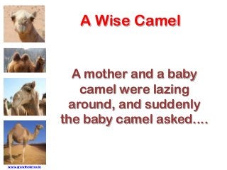 A Wise Camel
A mother and a baby
camel were lazing
around, and suddenly
the baby camel asked....
www.growthmirror.in
 
