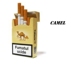 CAMEL
 