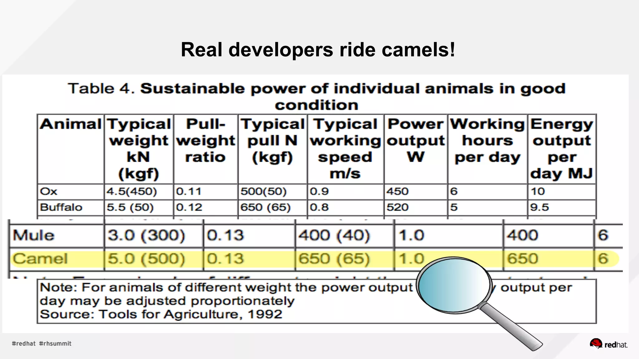 Real developers ride camels!
 