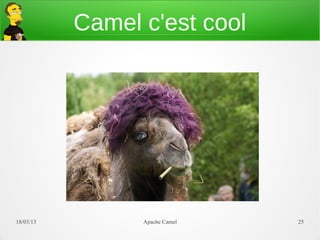 Camel c'est cool




21/03/13         Apache Camel   25
 