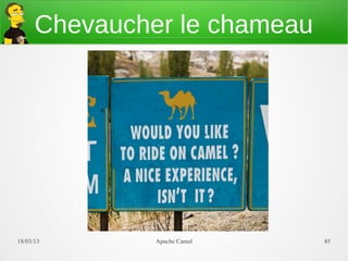 Chevaucher le chameau




21/03/13       Apache Camel   45
 