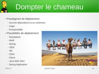 Dompter le chameau
●   Paradigmes de déploiement
    –   Aucune dépendance à un conteneur
    –   Léger
    –   Encapsulable
●   Possibilités de déploiement
    –   Standalone
    –   WAR
    –   Spring
    –   J2EE
    –   JBI
    –   OSGi
    –   Cloud
    –   Java Web Start
    –   Spring Application
21/03/13                              Apache Camel   46
 