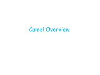 Camel Overview
 