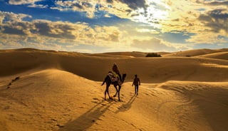 Camel Ride On The Sand Dunes of Thar Desert Jaisalmer Rajasthan India