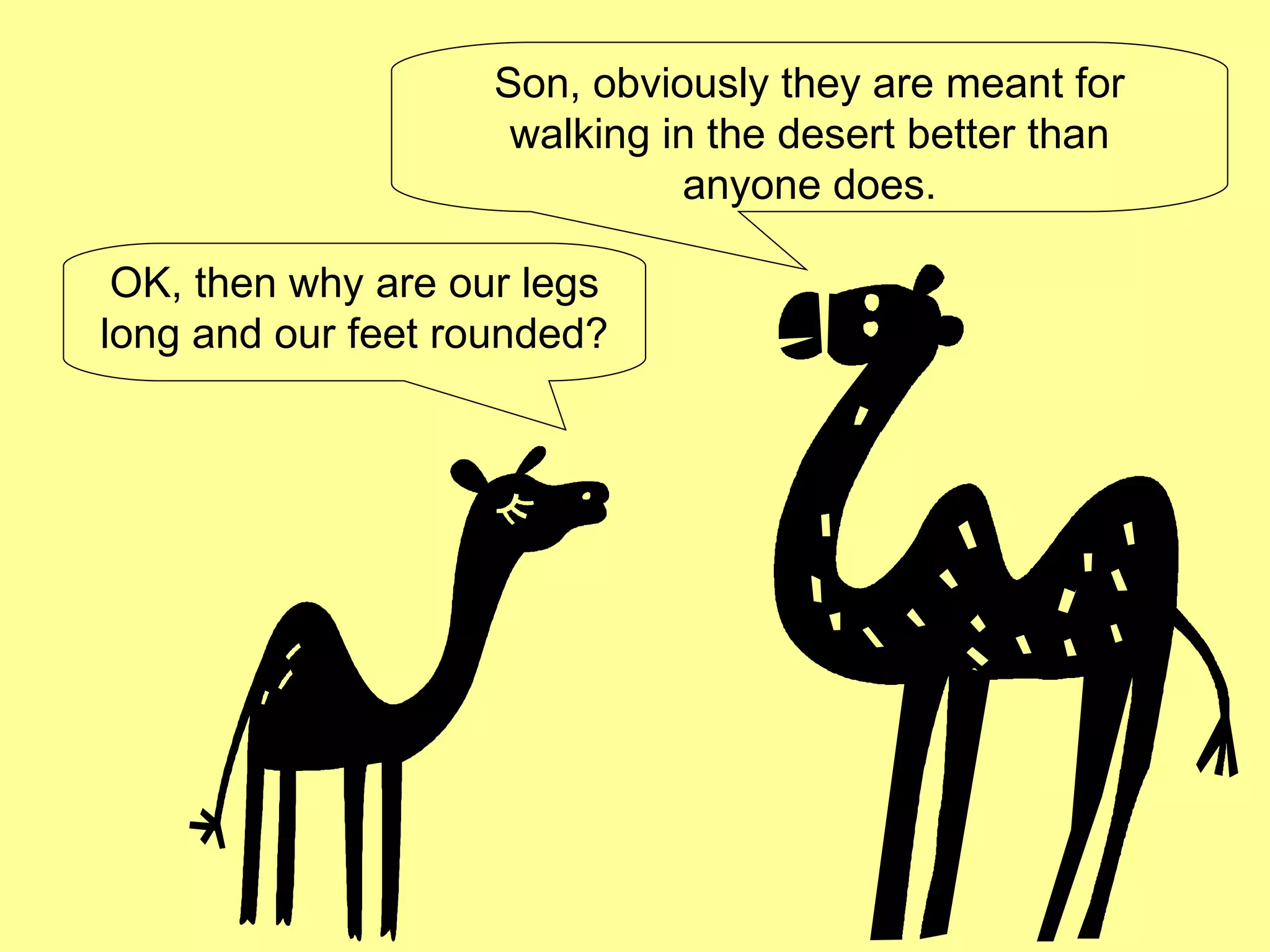 OK, then why are our legs long and our feet rounded? Son, obviously they are meant for walking in the desert better than anyone does. 