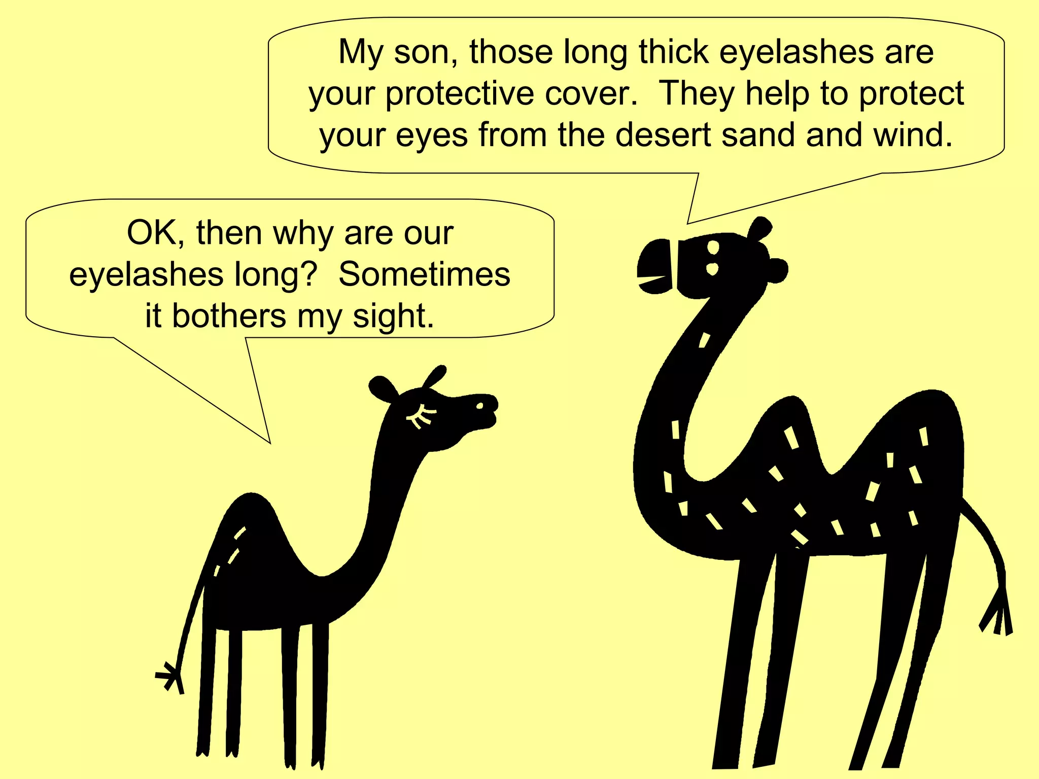 OK, then why are our eyelashes long?  Sometimes it bothers my sight. My son, those long thick eyelashes are your protective cover.  They help to protect your eyes from the desert sand and wind. 
