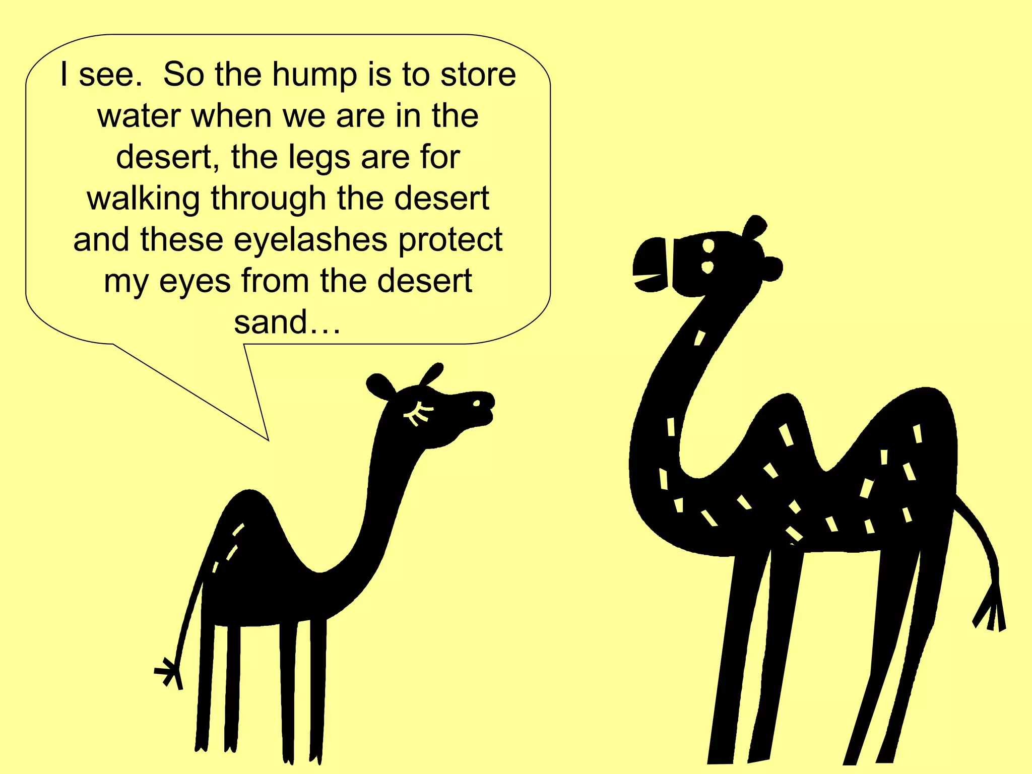 I see.  So the hump is to store water when we are in the desert, the legs are for walking through the desert and these eyelashes protect my eyes from the desert sand… 