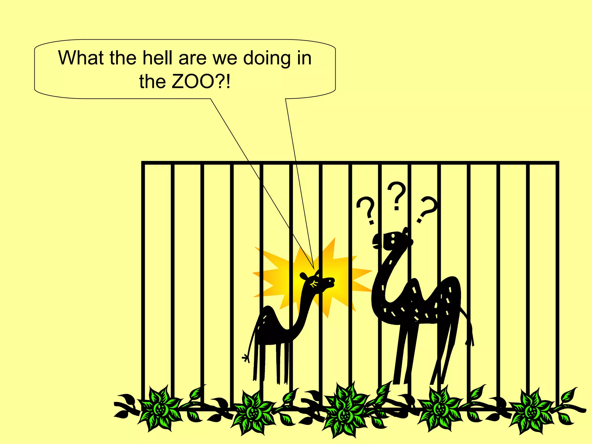What the hell are we doing in the ZOO?! ? ? ? 